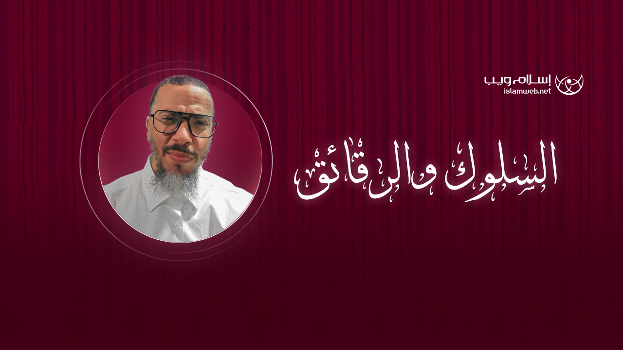 السلوك والرقائق